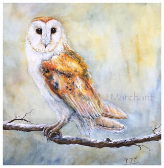 barn, owl, wildlife, nature, painting, art, watercolour, Picture