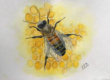 honey, bee, honeybee, painting, wildlife, art, nature, watercolour, Picture