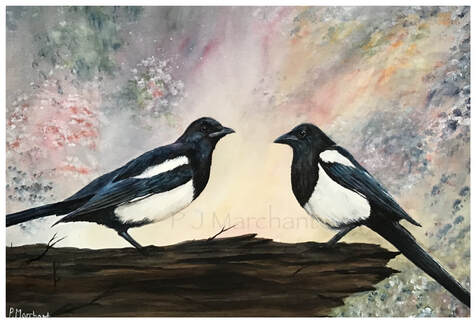 magpies, birds, two, for, joy, nature, wildlife, art, painting, watercolour, Picture