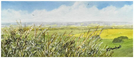 wiltshire, landscape, art, painting, summer, fields, landscape, rural, scene, 