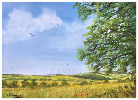 Wiltshire, painting, art, summer, landscape, countryside, rural, watercolour, pj marchant, pam marchant, artist, Picture