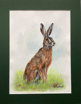 brown, hare, animal, wildlife, nature, painting, art, watercolour, Picture